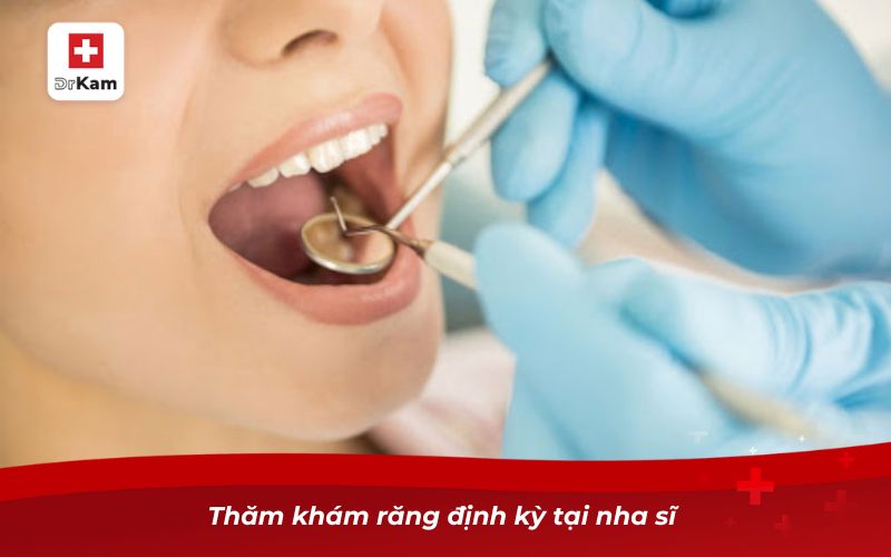 Thăm khám răng định kỳ tại nha sĩ 