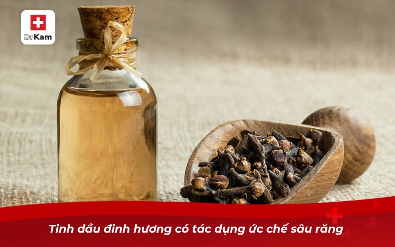 Cách chữa sâu răng cho người lớn tại nhà hiệu quả 7 Tinh dầu đinh hương có tác dụng ức chế sâu răng