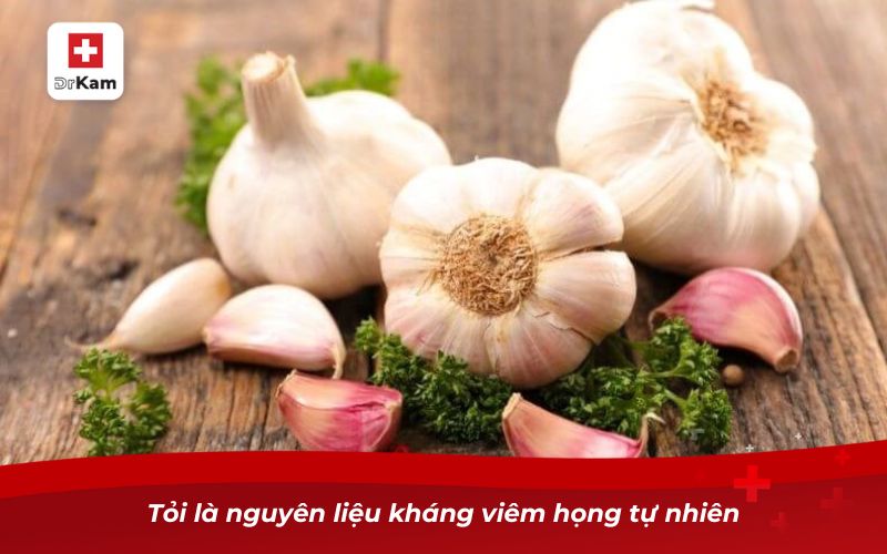 10 cách chữa viêm amidan hốc mủ tại nhà an toàn, hiệu quả 9 Tỏi là nguyên liệu kháng viêm họng tự nhiên