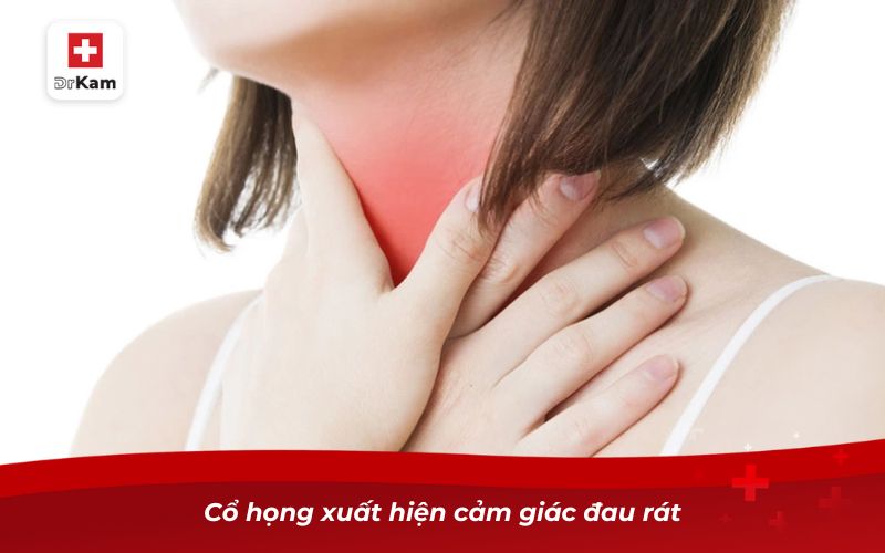 Hình ảnh viêm amidan hạt và cách nhận biết hiệu quả 9 Cổ họng xuất hiện cảm giác đau rát