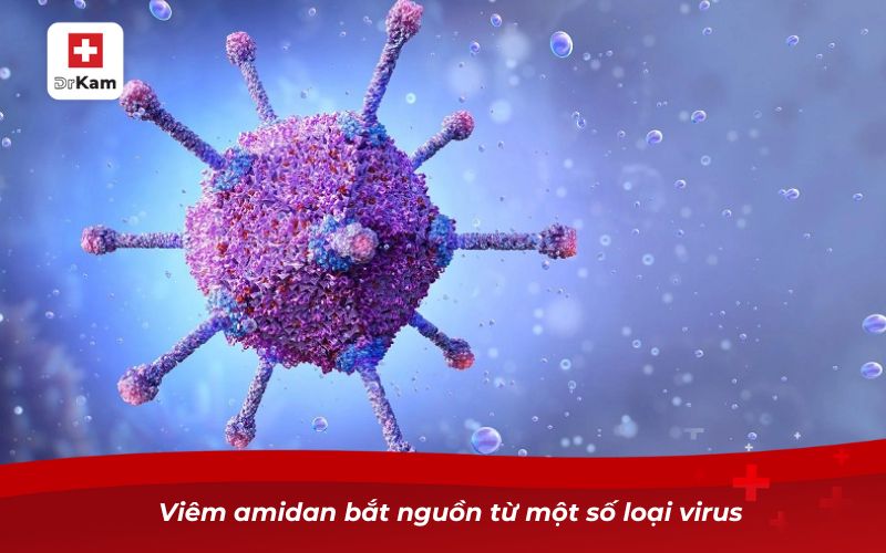 Nguyên nhân viêm amidan và cách phòng tránh hiệu quả 7 Viêm amidan bắt nguồn từ một số loại virus
