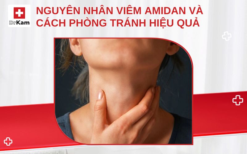 nguyen nhan viem amidan thumbnail