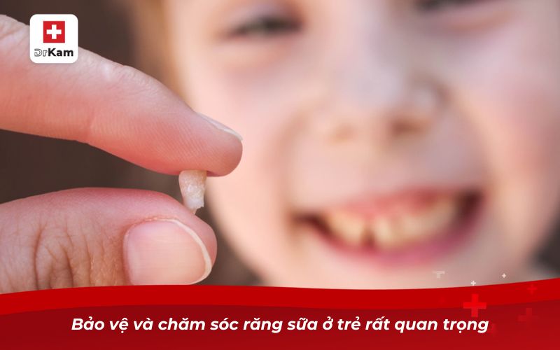 Tìm hiểu về vấn đề trẻ em bị sâu răng có mọc lại không? 8 Bảo vệ và chăm sóc răng sữa ở trẻ rất quan trọng
