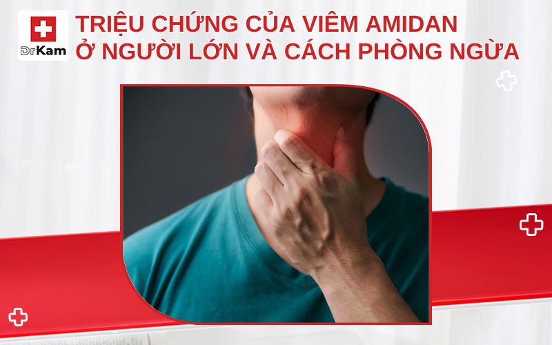 trieu chung cua viem amidan o nguoi lon thumbnail