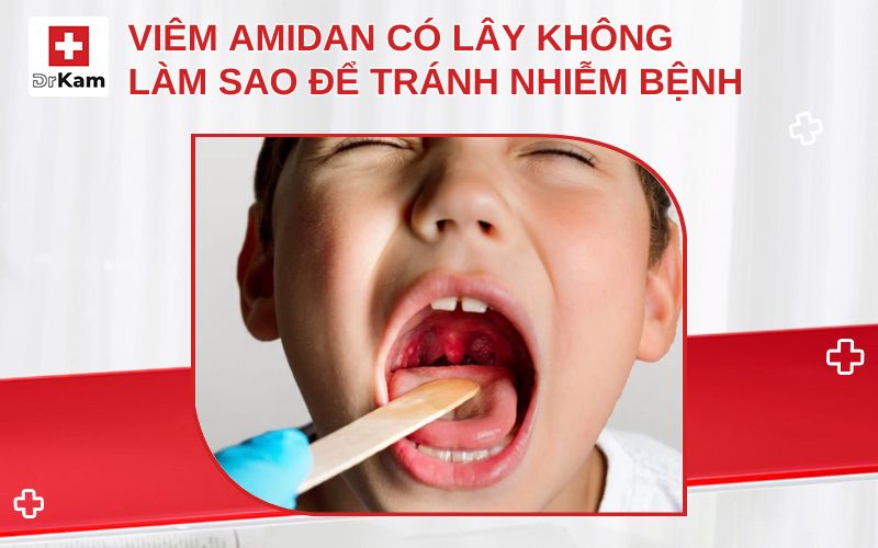 viem amidan co lay khong thumbnail