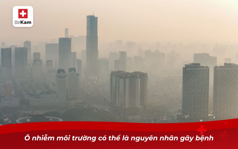 Viêm amidan hốc mủ 1 bên và những điều cần biết 9 Ô nhiễm môi trường có thể là nguyên nhân gây bệnh