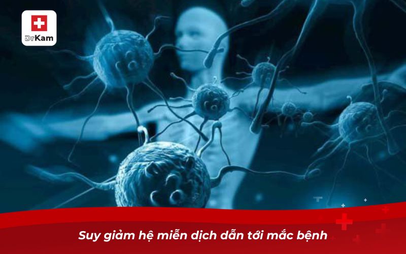 Suy giảm hệ miễn dịch dẫn tới mắc bệnh