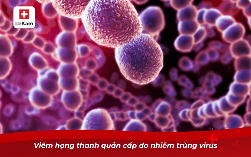 Viêm họng thanh quản cấp và những điều cần biết 11 Viêm họng thanh quản cấp do nhiễm trùng virus