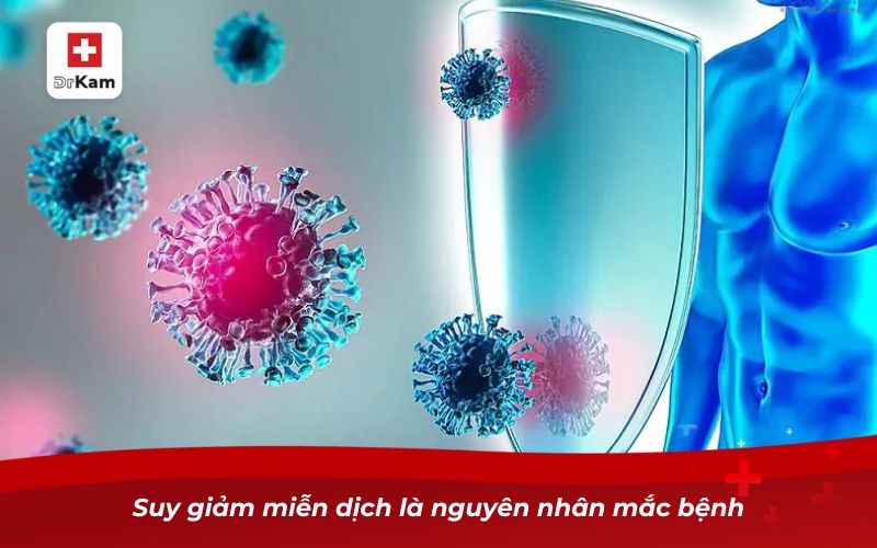 Viêm họng thanh quản cấp và những điều cần biết 12 Suy giảm miễn dịch là nguyên nhân mắc bệnh