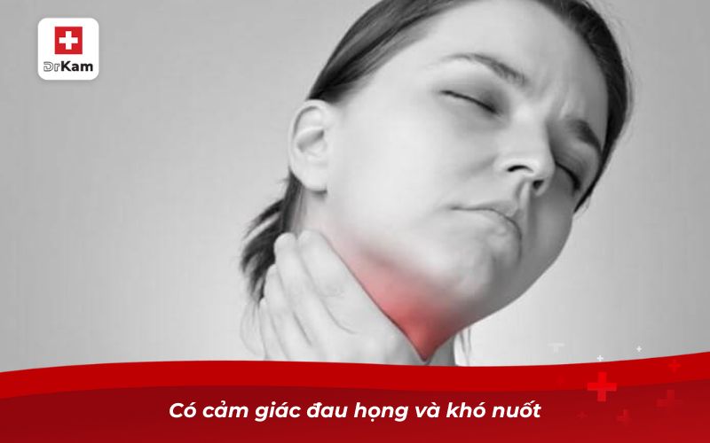 Viêm họng thanh quản cấp và những điều cần biết 13 Có cảm giác đau họng và khó nuốt