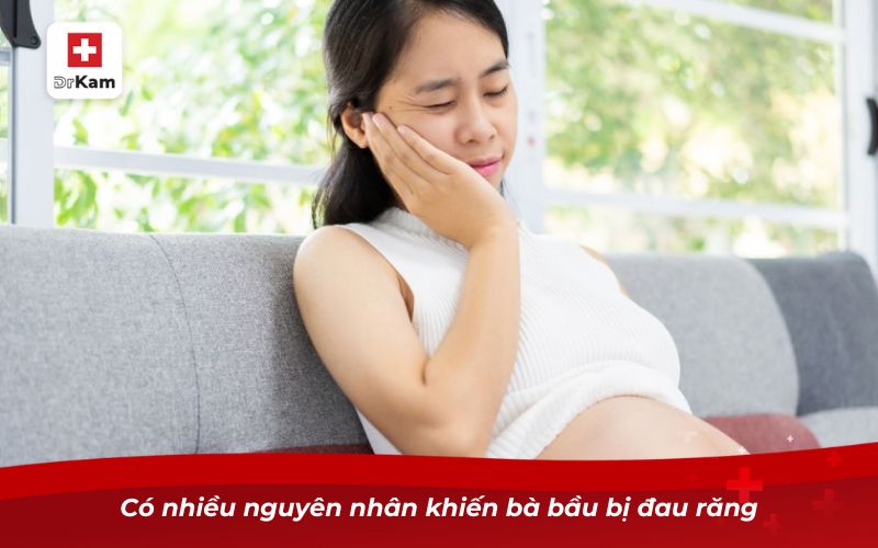 Có nhiều nguyên nhân khiến bà bầu bị đau răng