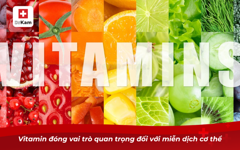 Bị nhiệt miệng thiếu vitamin gì? Nguyên nhân và cách bổ sung 6 Vitamin đóng vai trò quan trọng đối với miễn dịch cơ thể