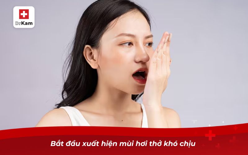 Bắt đầu xuất hiện mùi hơi thở khó chịu 