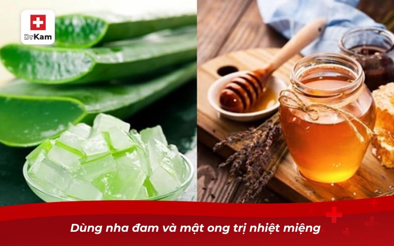 Dùng nha đam và mật ong trị nhiệt miệng 