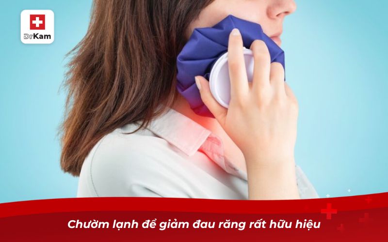 Răng không sâu nhưng bị nhức – Nguyên nhân và cách khắc phục 10 Chườm lạnh để giảm đau răng rất hữu hiệu