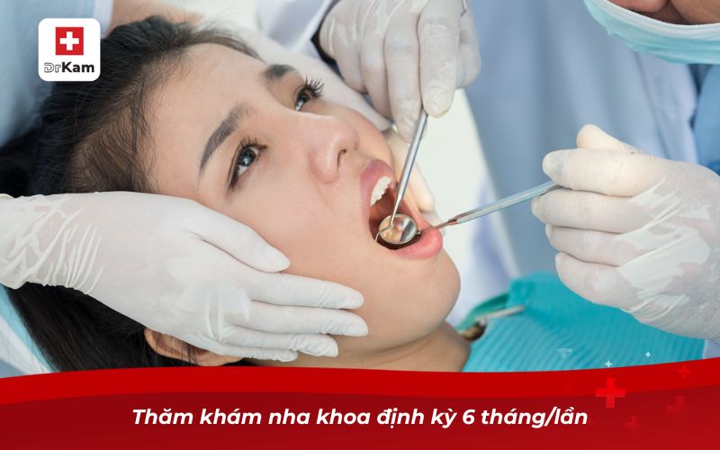 Thăm khám nha khoa định kỳ 6 tháng/lần