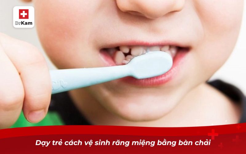 Trẻ em bị nhiệt miệng - Nguyên nhân và cách điều trị cấp tốc 11 Dạy trẻ cách vệ sinh răng miệng bằng bàn chải