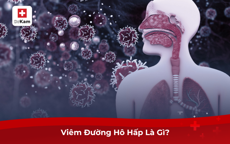 Viêm Đường Hô Hấp Là Gì? Nguyên Nhân, Cách Điều Trị 6 Viêm Đường Hô Hấp Là Gì?