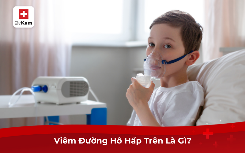 Tìm Hiểu Viêm Đường Hô Hấp Trên Là Gì Và Cách Điều Trị 6 Viêm Đường Hô Hấp Trên Là Gì?