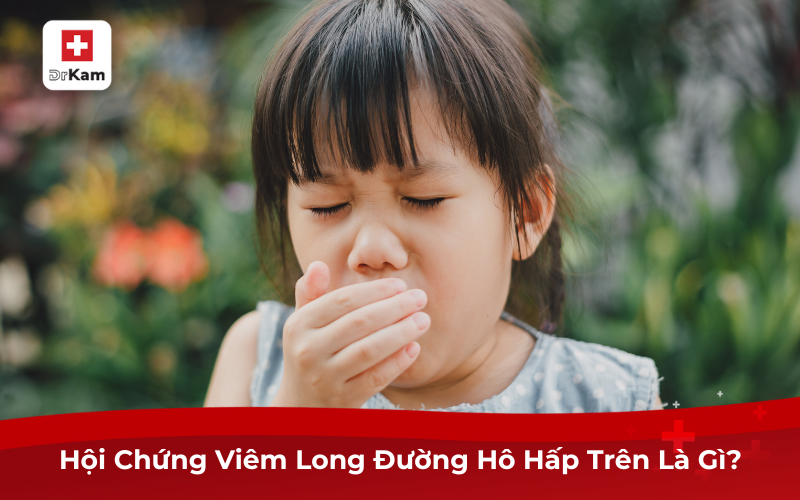 Tìm Hiểu Hội Chứng Viêm Long Đường Hô Hấp Trên 6 Hội Chứng Viêm Long Đường Hô Hấp Trên Là Gì?