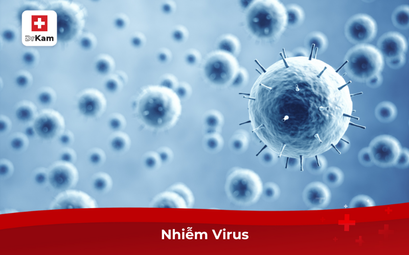 Nhiễm Virus