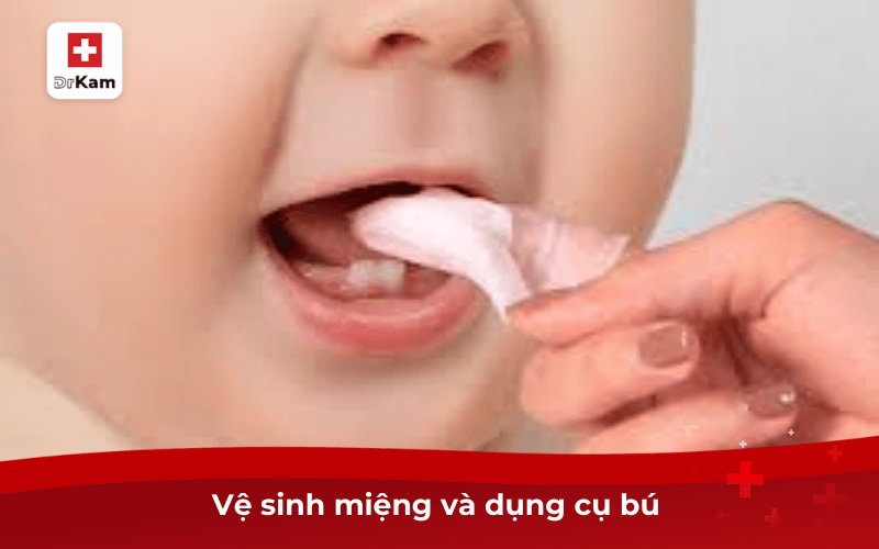 Vệ sinh miệng và dụng cụ bú 