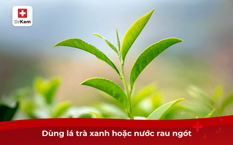 5 mẹo trị nấm miệng cho trẻ hiệu quả tại nhà 8 Dùng lá trà xanh hoặc nước rau ngót