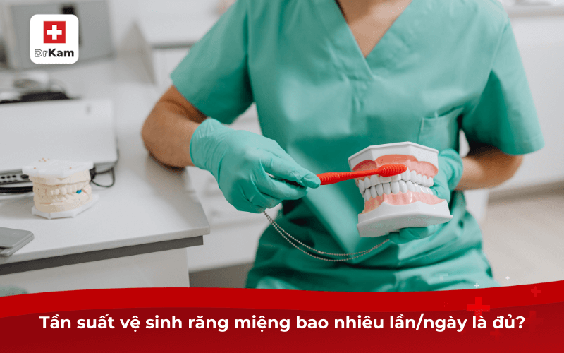 Quy trình vệ sinh răng miệng cho người bệnh thở máy 9 Tần suất vệ sinh răng miệng bao nhiêu lần/ngày là đủ?