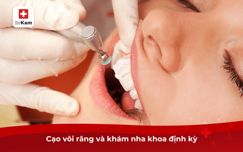 Cạo vôi răng và khám nha khoa định kỳ