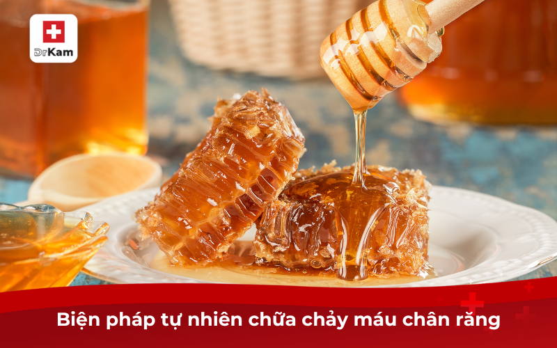 Nguyên nhân hay chảy máu chân răng, chữa trị, phòng ngừa 10 Biện pháp tự nhiên chữa chảy máu chân răng