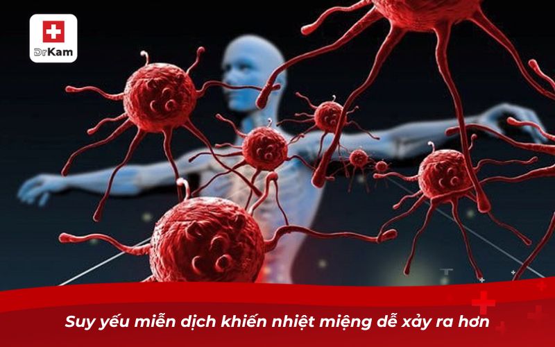 Những điều cần biết khi bị nhiệt miệng nặng 10 Suy yếu miễn dịch khiến nhiệt miệng dễ xảy ra hơn