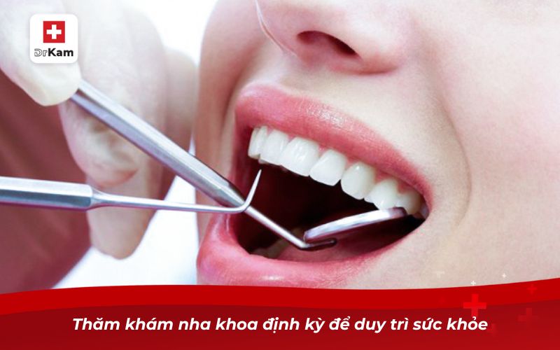 Thăm khám nha khoa định kỳ để duy trì sức khỏe