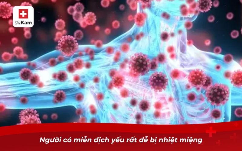 Nhiệt miệng có lây không? Sự thật ai cũng nên biết 9 Người có miễn dịch yếu rất dễ bị nhiệt miệng