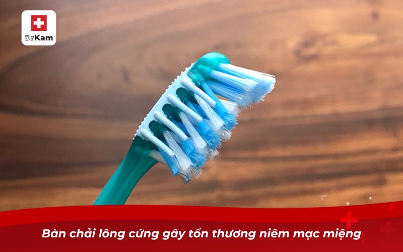 Nhiệt miệng có lây không? Sự thật ai cũng nên biết 10 Bàn chải lông cứng gây tổn thương niêm mạc miệng