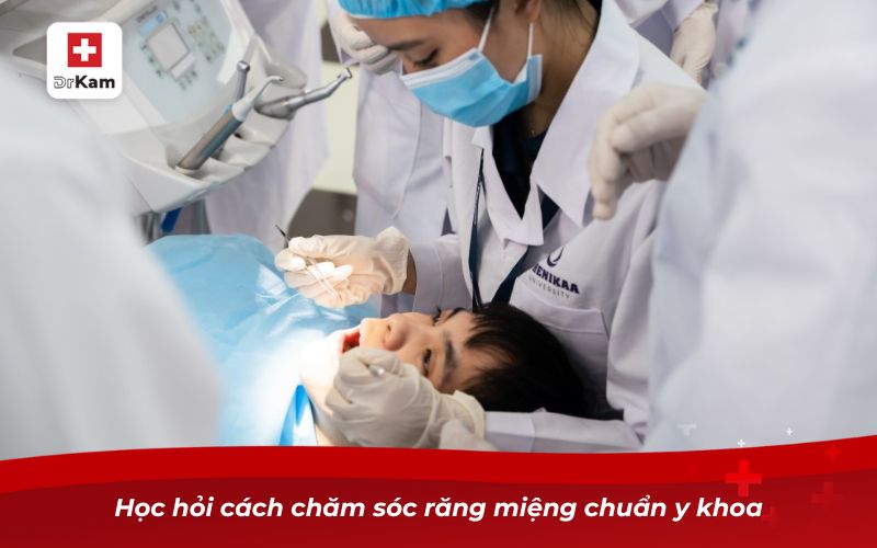Ung thư nhiệt miệng có phải là một căn bệnh không? 11 Học hỏi cách chăm sóc răng miệng chuẩn y khoa