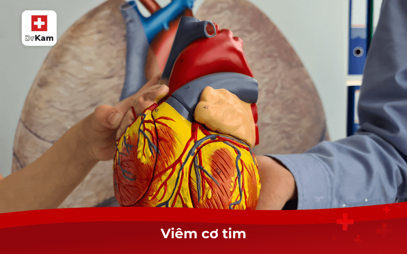 Giải Đáp: Bệnh Chân Tay Miệng Có Nguy Hiểm Không? 9 Viêm cơ tim