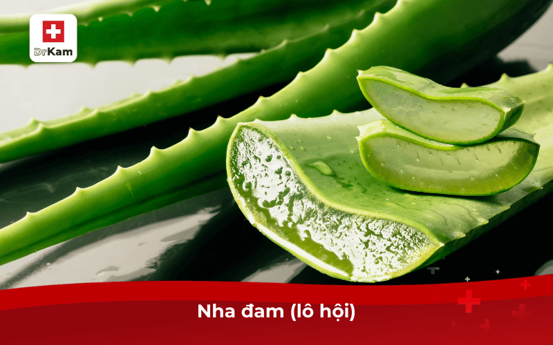 Nha đam (lô hội)