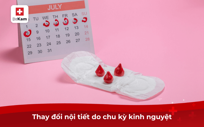 Tự nhiên mụn mọc quanh miệng là dấu hiệu của bệnh gì 8 Thay đổi nội tiết do chu kỳ kinh nguyệt