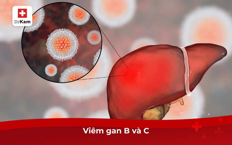 Viêm gan B và C