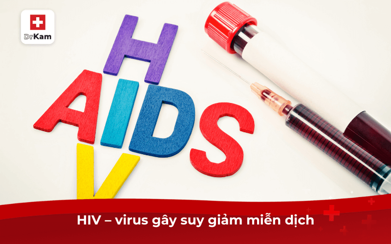 Các bệnh lây qua đường miệng khi quan hệ nguy hiểm nhất 9 HIV – virus gây suy giảm miễn dịch