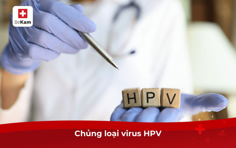 Chủng loại virus HPV