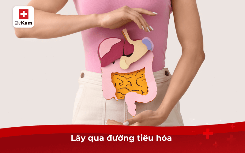 Lây qua đường tiêu hóa 