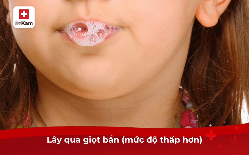 Lây qua giọt bắn (mức độ thấp hơn)