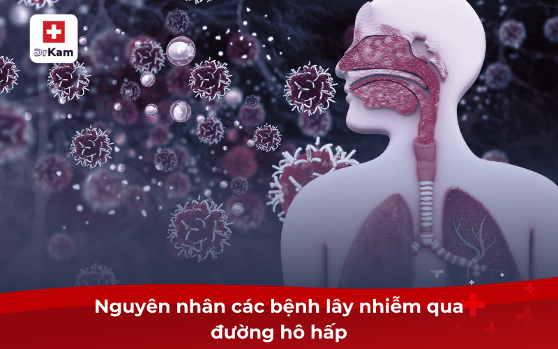 Tổng hợp các bệnh truyền nhiễm lây qua đường hô hấp 6 Nguyên nhân các bệnh lây nhiễm qua đường hô hấp