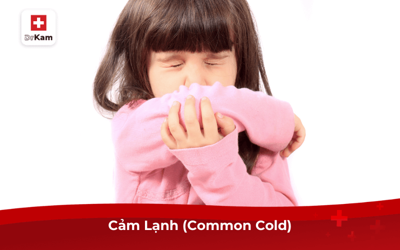 5 Bệnh Hô Hấp Ở Trẻ Em Hay Gặp Nhất Mà Ba Mẹ Cần Lưu Ý 9 Cảm Lạnh (Common Cold)