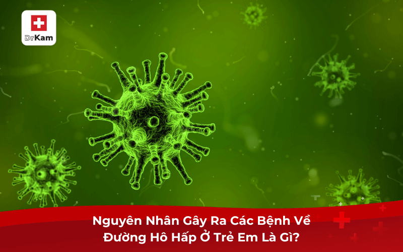 Nguyên nhân gây ra các bệnh về đường hô hấp ở trẻ em 7 Nguyên Nhân Gây Ra Các Bệnh Về Đường Hô Hấp Ở Trẻ Em Là Gì?