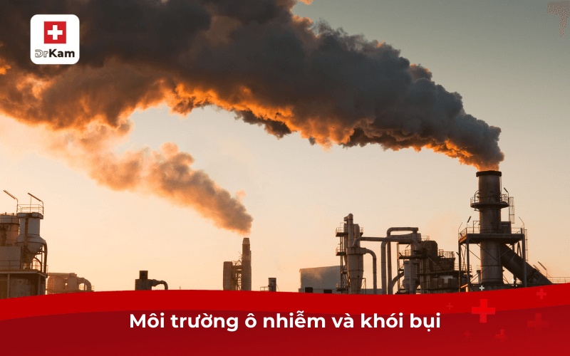 Nguyên nhân gây ra các bệnh về đường hô hấp ở trẻ em 8 Môi trường ô nhiễm và khói bụi