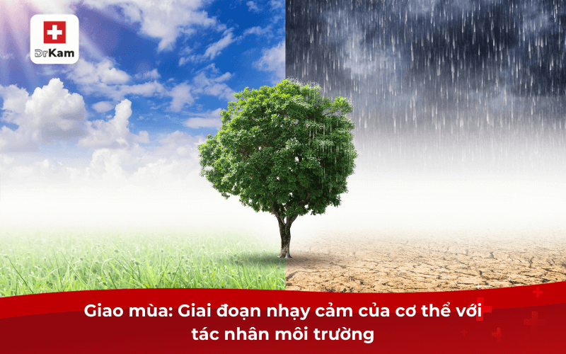Giao mùa: Giai đoạn nhạy cảm của cơ thể với tác nhân môi trường
