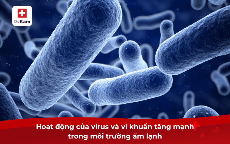 Hoạt động của virus và vi khuẩn tăng mạnh trong môi trường ẩm lạnh