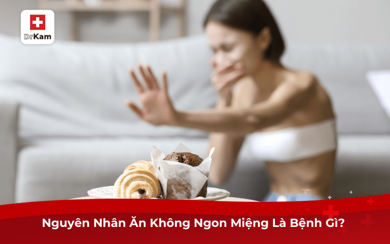 Bỗng Dưng Ăn Không Ngon Miệng Là Bệnh Gì? Cách Khắc Phục 6 Nguyên Nhân Ăn Không Ngon Miệng Là Bệnh Gì?